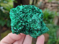 Natural Silky Malachite Specimens x 6 From Kasompe, Congo