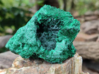 Natural Silky Malachite Specimens x 6 From Kasompe, Congo