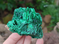 Natural Silky Malachite Specimens x 6 From Kasompe, Congo