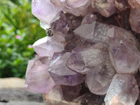 Natural Jacaranda Amethyst Quartz Cluster x 1 From Mumbwa, Zambia