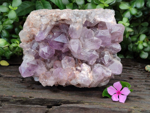Natural Jacaranda Amethyst Quartz Cluster x 1 From Mumbwa, Zambia