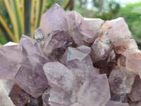 Natural Jacaranda Amethyst Quartz Cluster x 1 From Mumbwa, Zambia