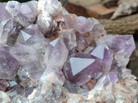 Natural Jacaranda Amethyst Quartz Cluster x 1 From Mumbwa, Zambia