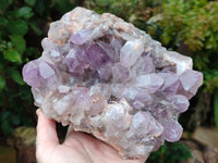 Natural Jacaranda Amethyst Quartz Cluster x 1 From Mumbwa, Zambia