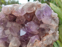 Natural Jacaranda Amethyst Quartz Cluster x 1 From Mumbwa, Zambia