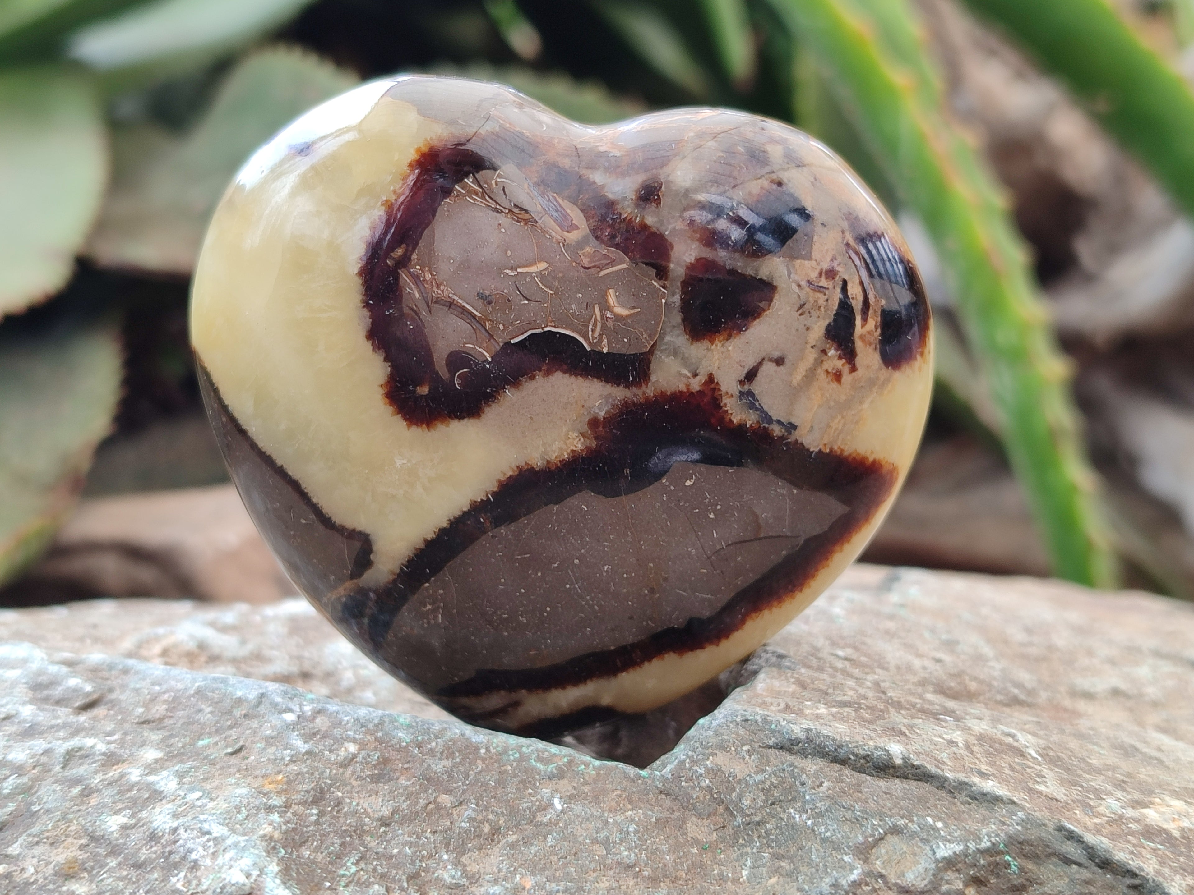 Polished Septerye Hearts x 6 From Mahajanga, Madagascar - Toprock Gemstones and Minerals 