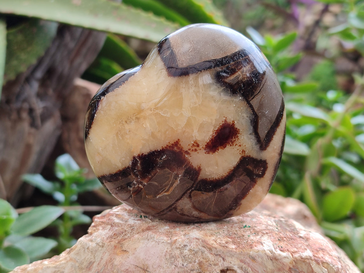 Polished Septerye Hearts x 6 From Mahajanga, Madagascar - Toprock Gemstones and Minerals 