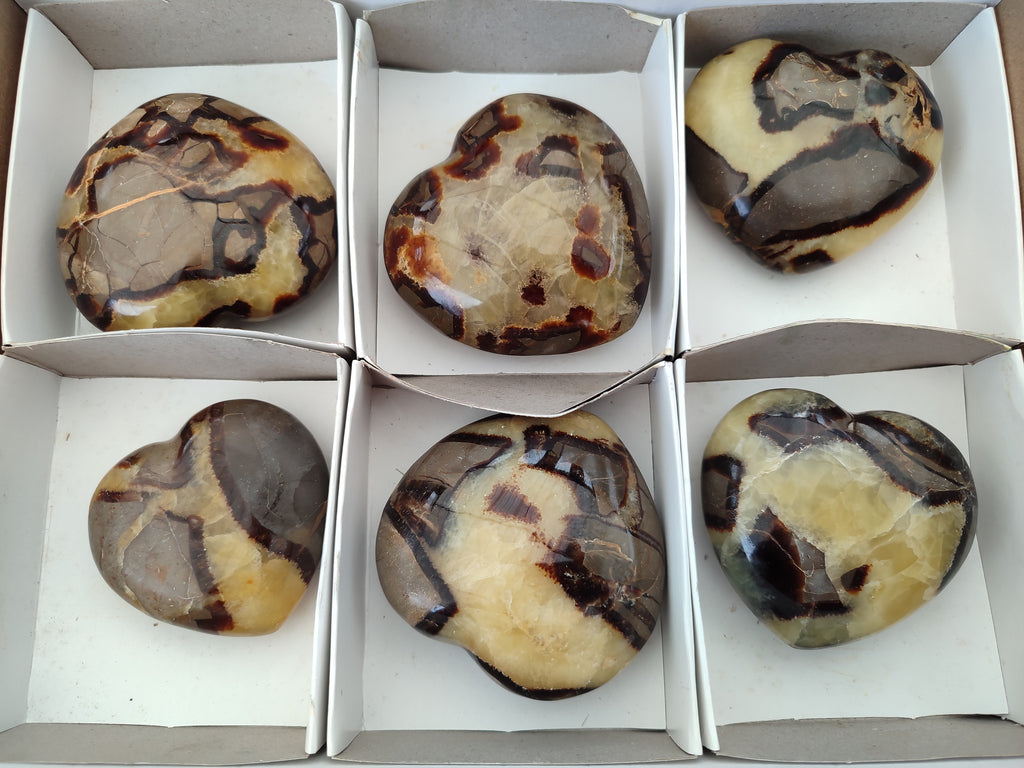 Polished Septerye Hearts x 6 From Mahajanga, Madagascar - Toprock Gemstones and Minerals 