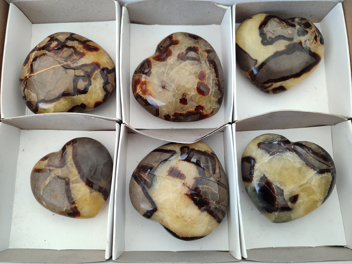 Polished Septerye Hearts x 6 From Mahajanga, Madagascar - Toprock Gemstones and Minerals 