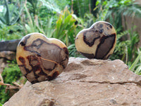 Polished Fossilized Septerye Hearts x 6 From Mahajanga, Madagascar