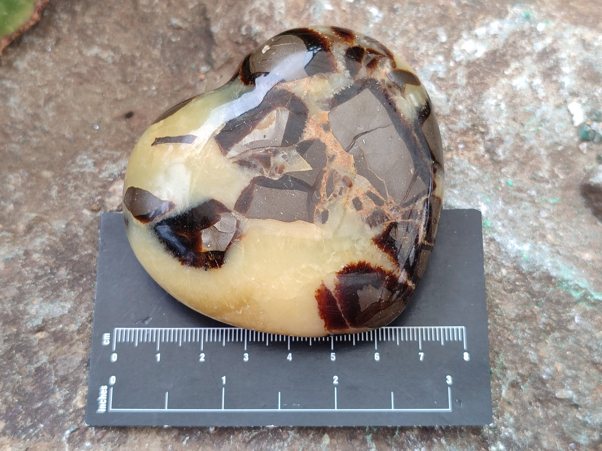 Polished Septerye Hearts x 6 From Mahajanga, Madagascar - Toprock Gemstones and Minerals 