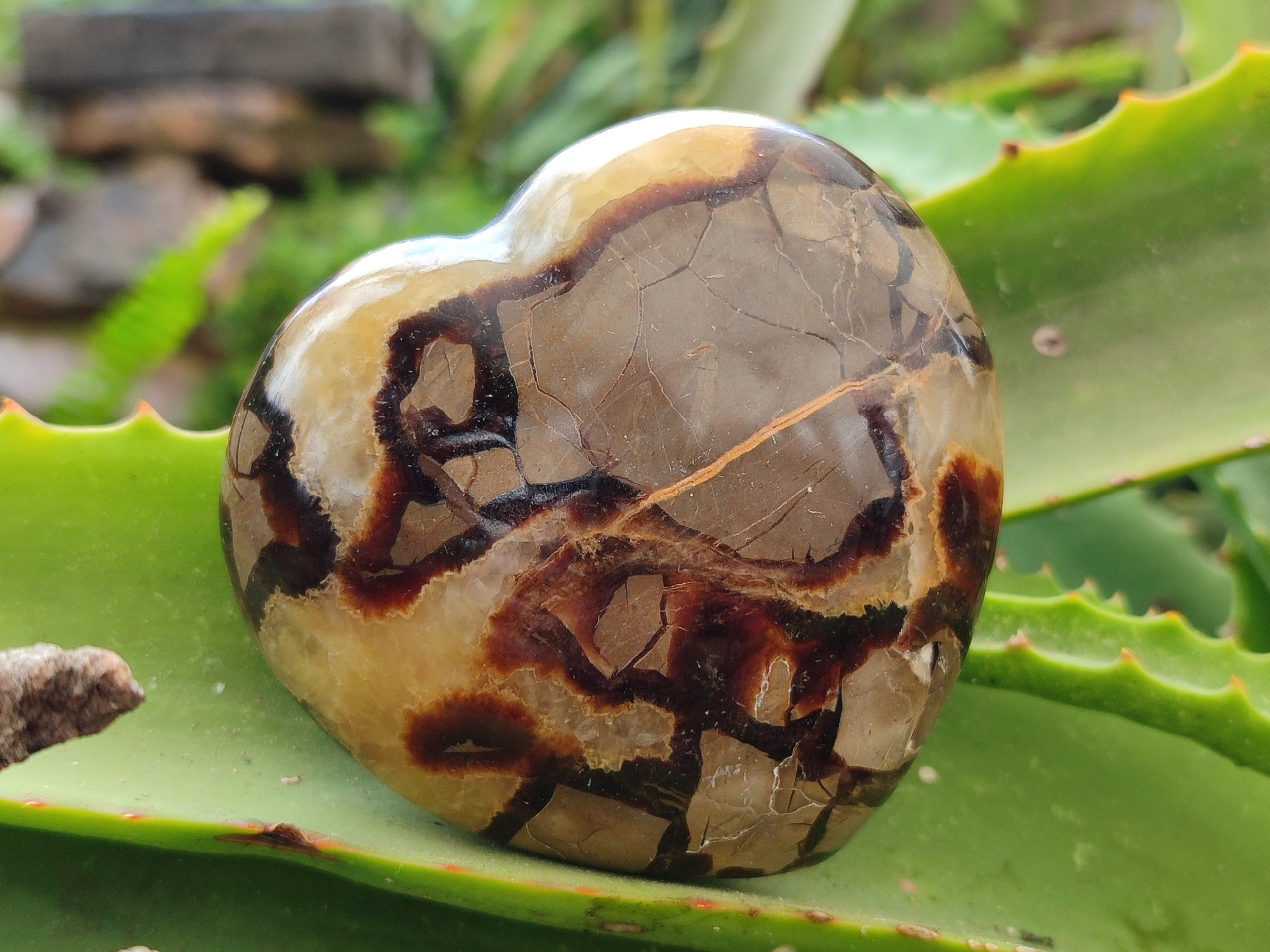 Polished Septerye Hearts x 6 From Mahajanga, Madagascar - Toprock Gemstones and Minerals 