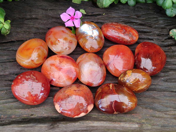 Polished Carnelian Agate Palm Stones x 12 From Madagascar
