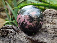 Polished Pink Rhodonite Spheres x 4 From Ambindavato, Madagascar