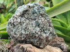 Natural Emerald Mica In Matrix Cobbed Specimens x 2 From Mutoko, Zimbabwe - Toprock Gemstones and Minerals 