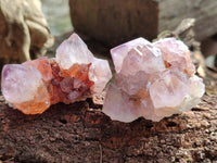 Natural Cactus Flower Sunburst Spirit Amethyst Clusters x 12 From Boekenhouthoek, South Africa