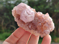 Natural Cactus Flower Sunburst Spirit Amethyst Clusters x 12 From Boekenhouthoek, South Africa