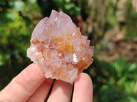 Natural Cactus Flower Sunburst Spirit Amethyst Clusters x 12 From Boekenhouthoek, South Africa