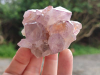 Natural Cactus Flower Sunburst Spirit Amethyst Clusters x 12 From Boekenhouthoek, South Africa