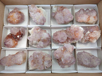Natural Cactus Flower Sunburst Spirit Amethyst Clusters x 12 From Boekenhouthoek, South Africa