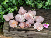Natural Cactus Flower Sunburst Spirit Amethyst Clusters x 12 From Boekenhouthoek, South Africa