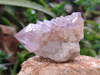 Natural Cactus Flower Sunburst Spirit Amethyst Clusters x 12 From Boekenhouthoek, South Africa