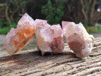 Natural Cactus Flower Sunburst Spirit Amethyst Clusters x 12 From Boekenhouthoek, South Africa