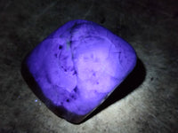Polished Fluorescent Watermelon Fluorite Free Forms x 6 From Namibia