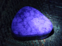Polished Fluorescent Watermelon Fluorite Free Forms x 6 From Namibia