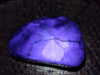 Polished Fluorescent Watermelon Fluorite Free Forms x 6 From Namibia