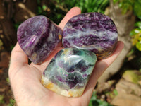 Polished Fluorescent Watermelon Fluorite Free Forms x 6 From Namibia