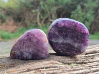 Polished Fluorescent Watermelon Fluorite Free Forms x 6 From Namibia