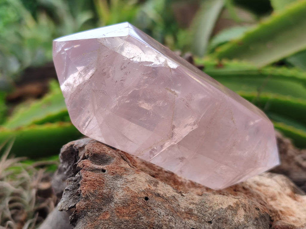 Polished Double Terminated Rose Quartz Points x 6 From Ambatondrazaka, Madagascar - Toprock Gemstones and Minerals 