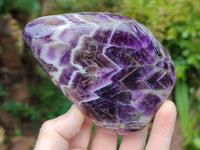 Polished Chevron Amethyst Standing Free Forms x 2 From Zambia