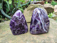 Polished Chevron Amethyst Standing Free Forms x 2 From Zambia