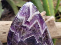 Polished Chevron Amethyst Standing Free Forms x 2 From Zambia