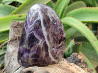 Polished Chevron Amethyst Standing Free Forms x 2 From Zambia