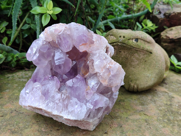 Natural Jacaranda Amethyst Quartz Cluster x 1 From Mumbwa, Zambia