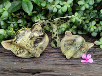 Polished Leopard Stone Cat Face and Whale Tail Carvings x 3 From Zimbabwe