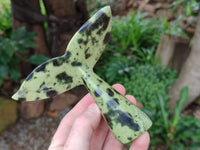 Polished Leopard Stone Cat Face and Whale Tail Carvings x 3 From Zimbabwe