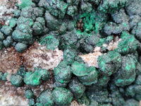 Natural Botryoidal Ball Malachite On Dolomite Matrix Specimen x 1 From Kambove, Congo
