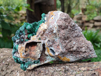Natural Botryoidal Ball Malachite On Dolomite Matrix Specimen x 1 From Kambove, Congo