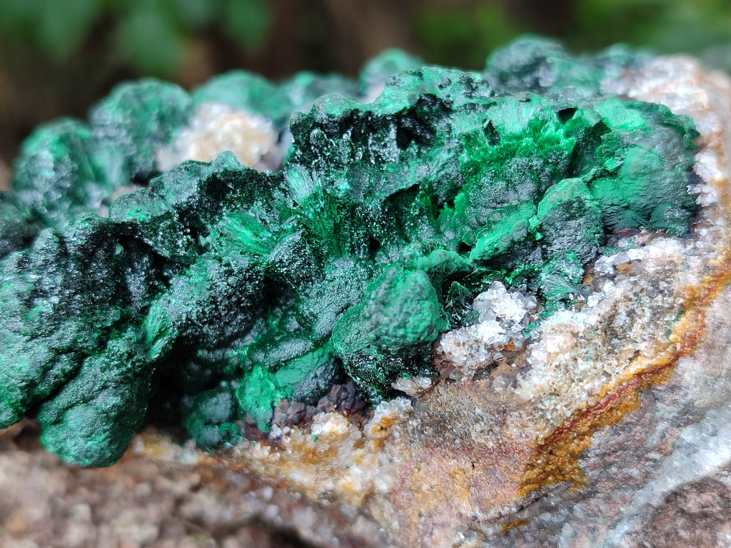 Natural Botryoidal Ball Malachite On Dolomite Matrix Specimen x 1 From Kambove, Congo - Toprock Gemstones and Minerals 