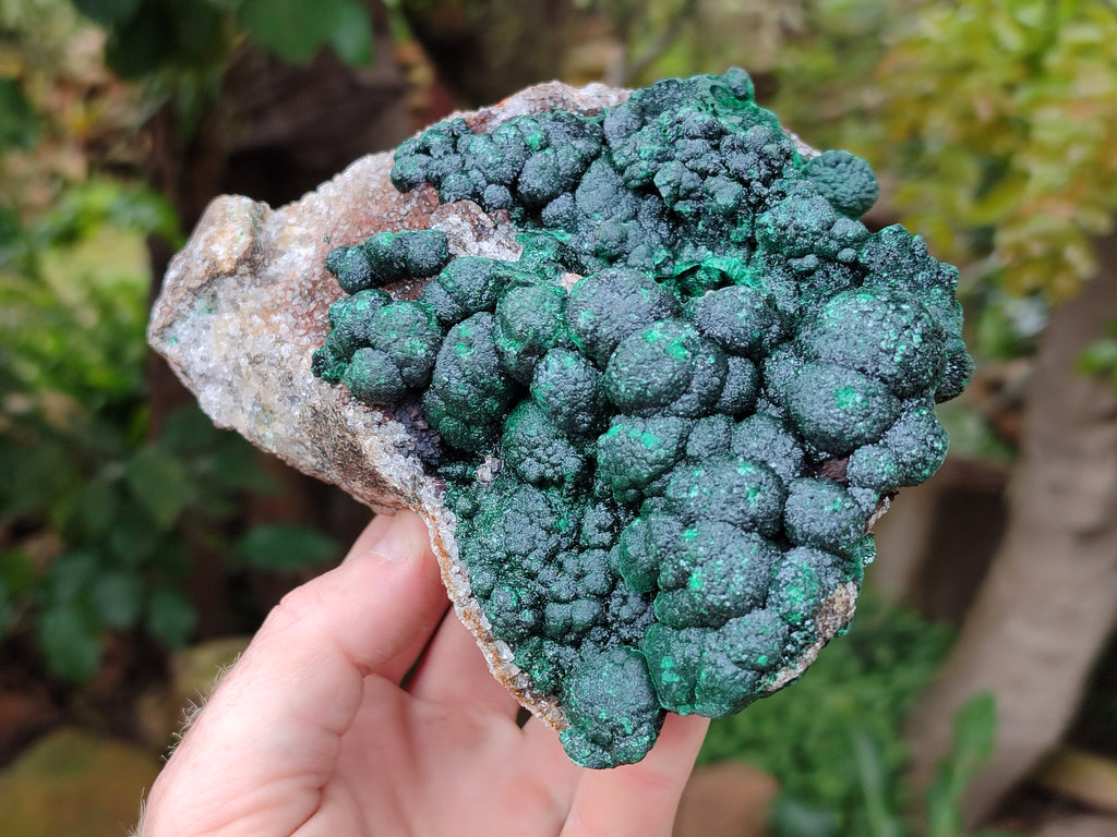 Natural Botryoidal Ball Malachite On Dolomite Matrix Specimen x 1 From Kambove, Congo - Toprock Gemstones and Minerals 