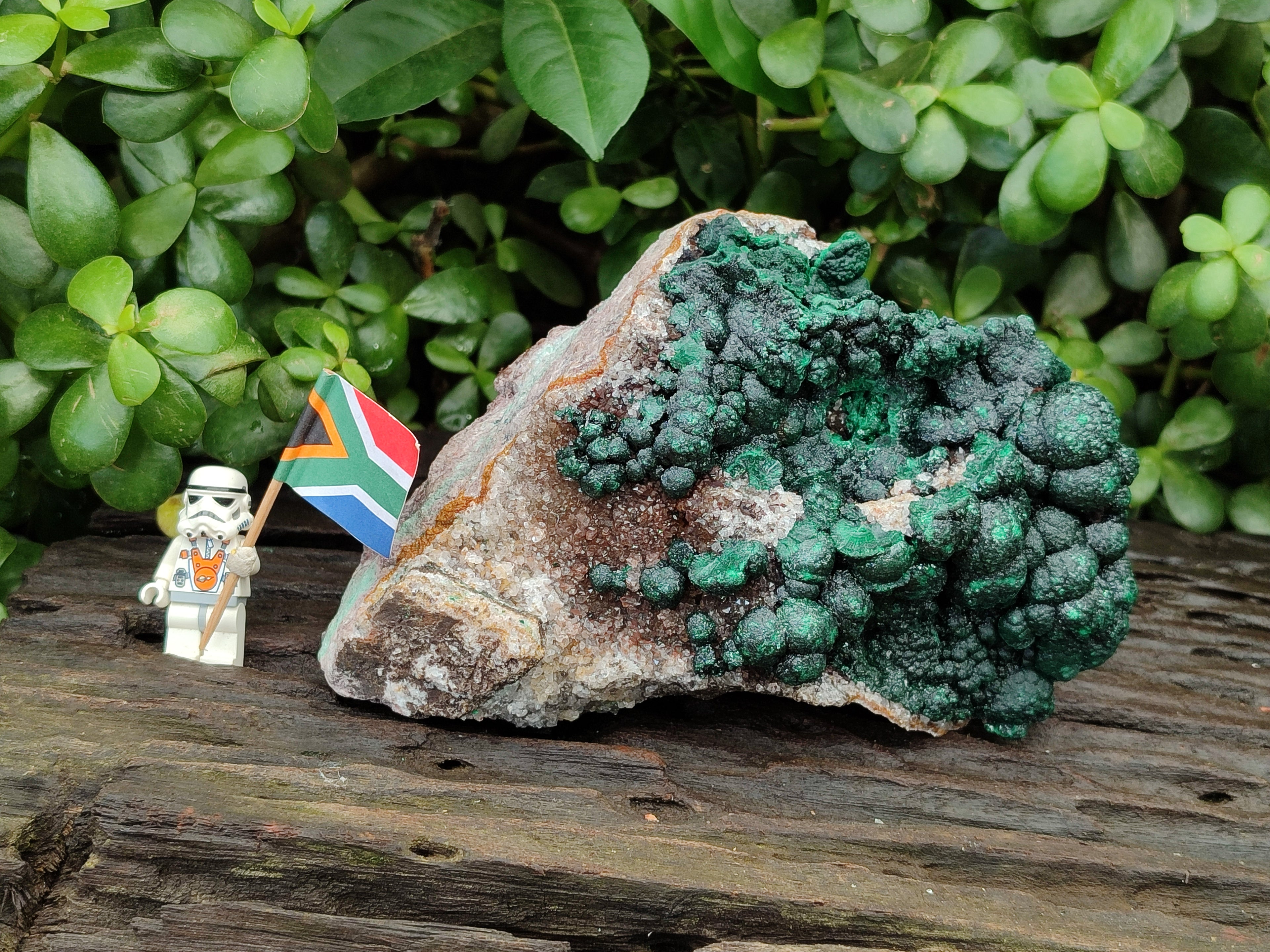 Natural Botryoidal Ball Malachite On Dolomite Matrix Specimen x 1 From Kambove, Congo - Toprock Gemstones and Minerals 