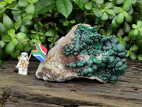 Natural Botryoidal Ball Malachite On Dolomite Matrix Specimen x 1 From Kambove, Congo
