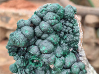 Natural Botryoidal Ball Malachite On Dolomite Matrix Specimen x 1 From Kambove, Congo