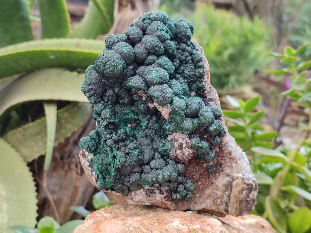 Natural Botryoidal Ball Malachite On Dolomite Matrix Specimen x 1 From Kambove, Congo - Toprock Gemstones and Minerals 