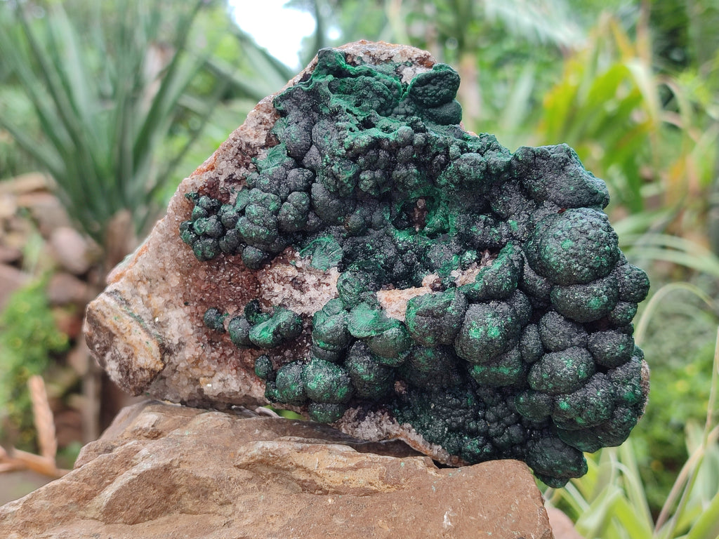 Natural Botryoidal Ball Malachite On Dolomite Matrix Specimen x 1 From Kambove, Congo - Toprock Gemstones and Minerals 
