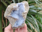Natural Blue Lace Agate Geode Specimens x 6 From Nsanje, Malawi - Toprock Gemstones and Minerals 